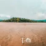 walking-uvita-whale-tail