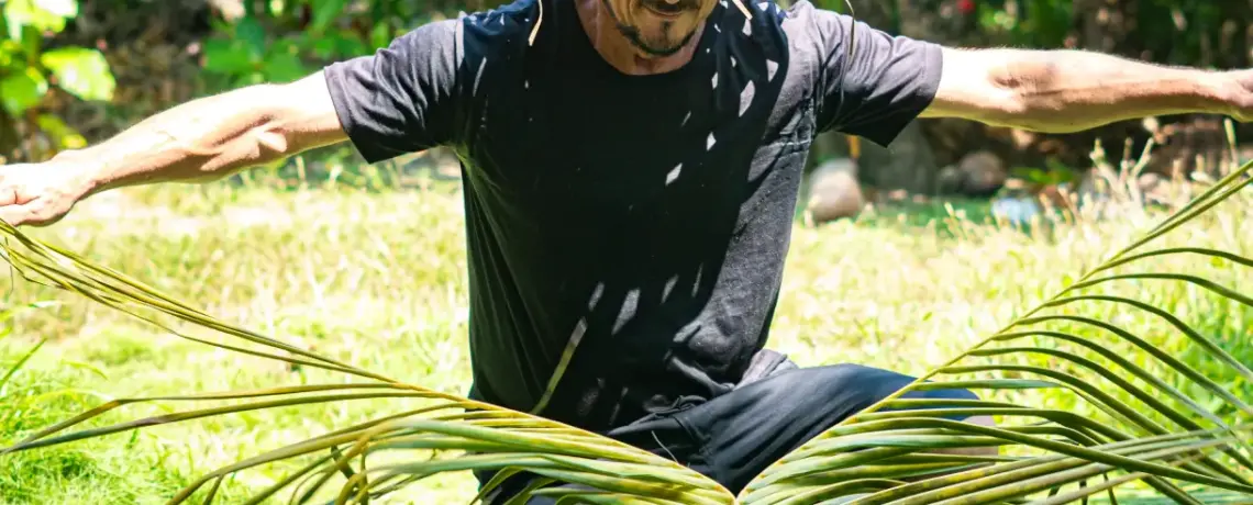 Coconut Tour